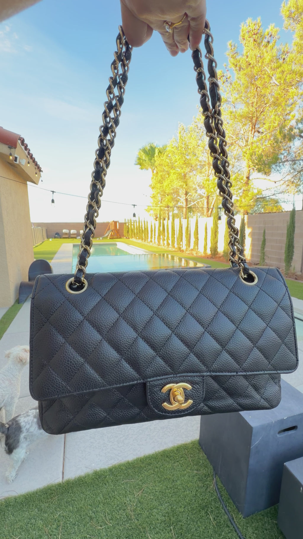 Chanel classic double flap medium